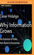 Why Information Grows