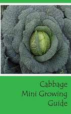 Cabbage Mini Growing Guide
