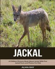 Jackal