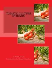 Tomato Culture in Idaho