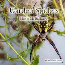 Garden Spiders