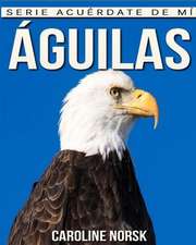 Aguilas