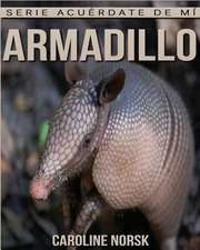 Armadillo
