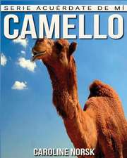 Camello