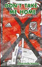 Don't Take Me Home - Following Wales at Euro 2016