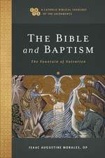 The Bible and Baptism – The Fountain of Salvation