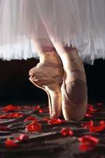 A Ballerina En Pointe on a Bed of Rose Petals Dance Journal