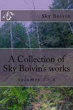 A Collection of Sky Boivin's Works