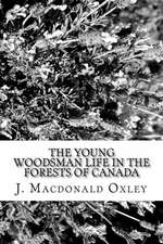 The Young Woodsman Life in the Forests of Canada