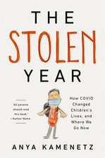 The Stolen Year