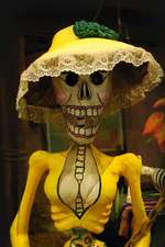 Traditional Calavera Skeleton in a Yellow Dress Day of the Dead Mexico Journal