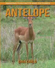 Antelope