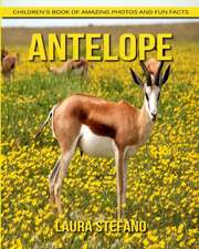 Antelope