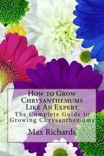 How to Grow Chrysanthemums Like an Expert