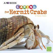 Caring for Hermit Crabs