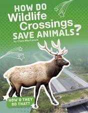 How Do Wildlife Crossings Save Animals?