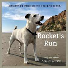 Rocket's Run: Volume 1