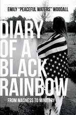 Diary of a Black Rainbow: From Madness to Ministry Volume 1