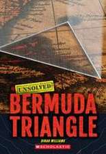 Williams, D: Bermuda Triangle (Unsolved)
