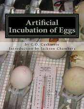 Artificial Incubation of Eggs