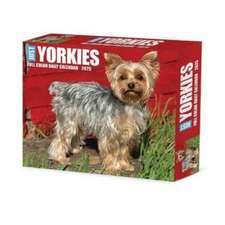 Yorkies 2025 6.2 X 5.4 Box Calendar