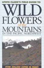 Wildflowers of the Mountains in the Pacific Northwest