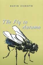 Fly in Autumn