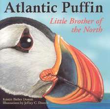 Atlantic Puffin: Little Brother of the North