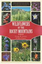 Wildflowers of the Rocky Mountains