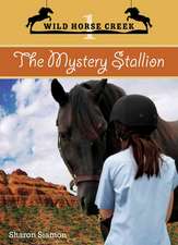 The Mystery Stallion