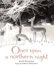 Once Upon a Northern Night