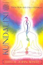 Kundalini, Evolution, and Enlightenment