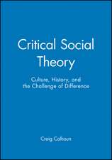 Critical Social Theory: Culture, History, and the Challenge of Difference