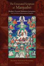 The Emanated Scripture of Manjushri: Shabkar's Essential Meditation Instructions