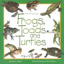 Frogs, Toads & Turtles