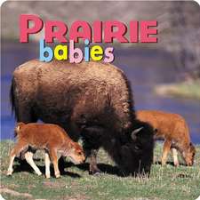 Creative Publishing International: Prairie Babies