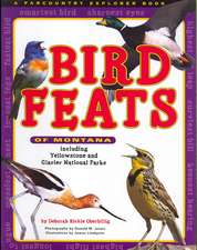 Bird Feats of Montana