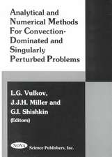 Analytical & Numerical Methods for Convention-Dominated & Singularly Perturbed Problems