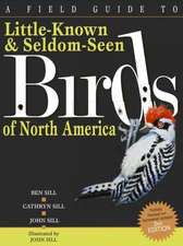 A Field Guide to Little-Known and Seldom-Seen Birds of North America