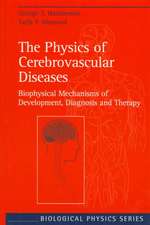 The Physics of Cerebrovascular Diseases: Biophysical Mechanisms of Development, Diagnosis and Therapy