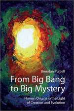 From Big Bang to Big Mystery: Human Origins in the Light of Creation and Evolution