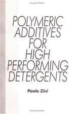 Polymeric Additives for High Performing Detergents