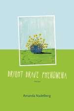 Bright Brave Phenomena