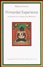 Primordial Experience: An Introduction to Rdzogs-Chen Meditation