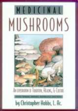 Medicinal Mushrooms: An Exploration of Tradition, Healing, & Culture