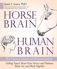 Horse Brain, Human Brain: The Neuroscience of Horsemanship