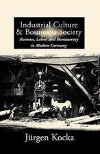 Industrial Culture and Bourgeois Society in Modern Germany: Essays and Responsa