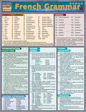 French Grammar Laminate Reference Chart