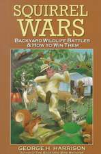 Squirrel Wars: Backyard Wildlife Battles & How to Win Them