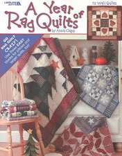 A Year of Rag Quilts (Leisure Arts #3551)